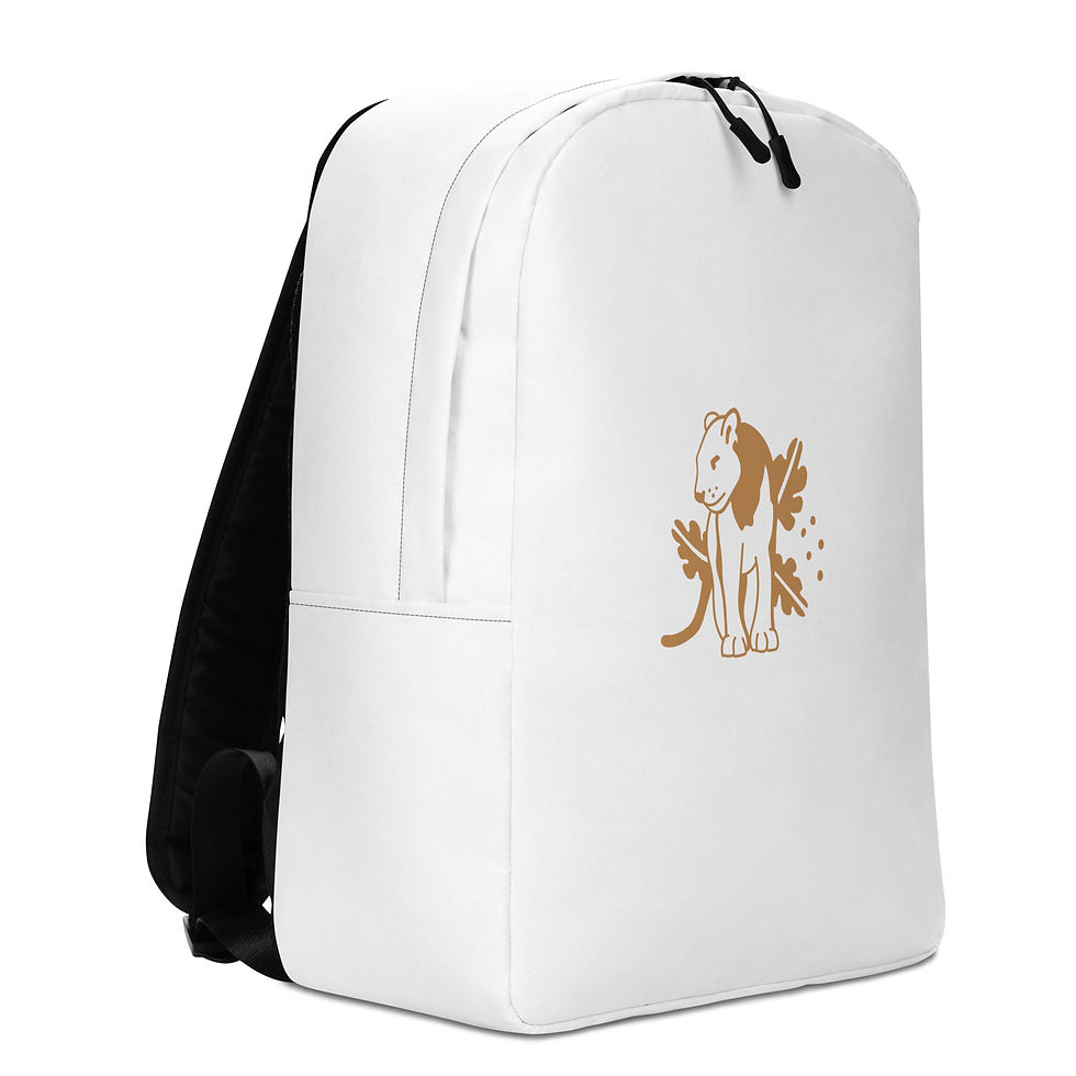 Miniature : Sac à dos minimaliste
