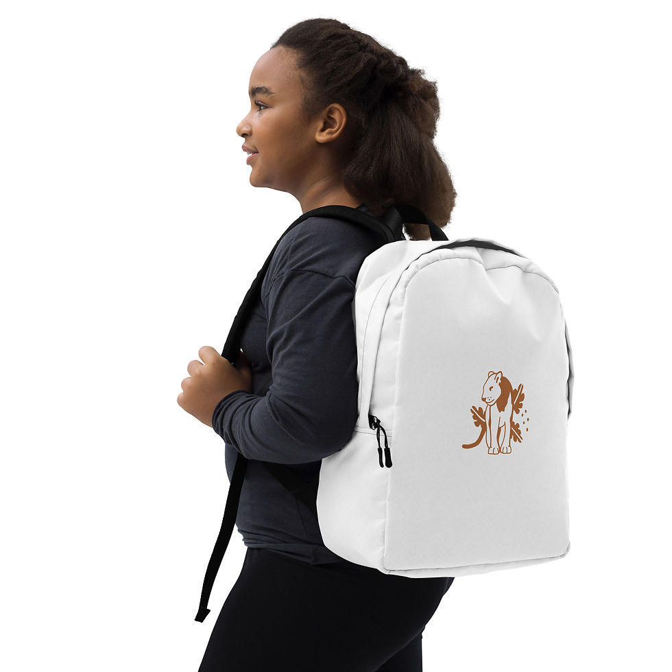Miniature : Sac à dos minimaliste