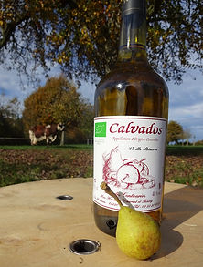 bouteille calvados.JPG