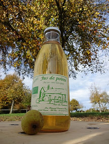 Bouteille jus de poire.JPG