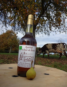 bouteille_apéritif_à_base_de_poiré.JPG