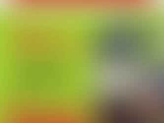 Para onde está indo meu dinheiro?