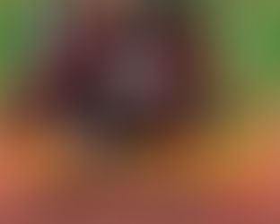 2018년 12월 2일 신해철 30주년 콘서트