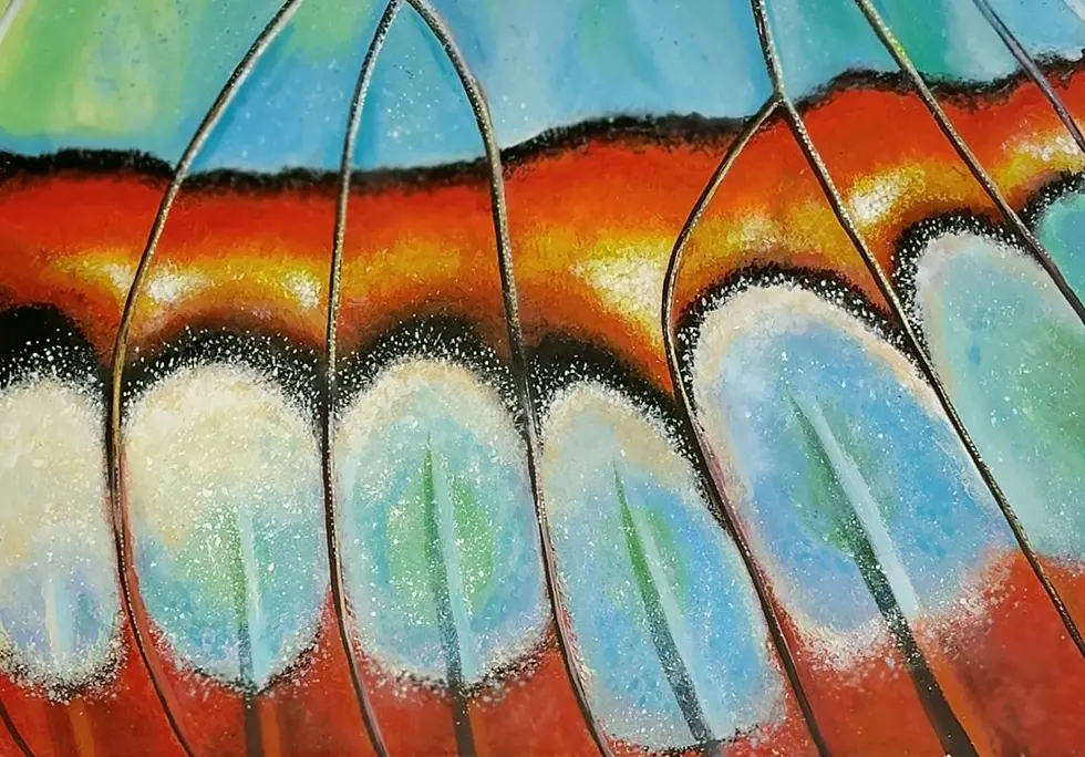 Картина «Крильця метелика», акрил на полотні, автор Sofiva