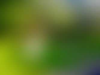 YARD OF THE MONTH: 809 April Sound Ct.