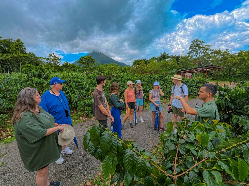 IMG_20241008_114604_272-1