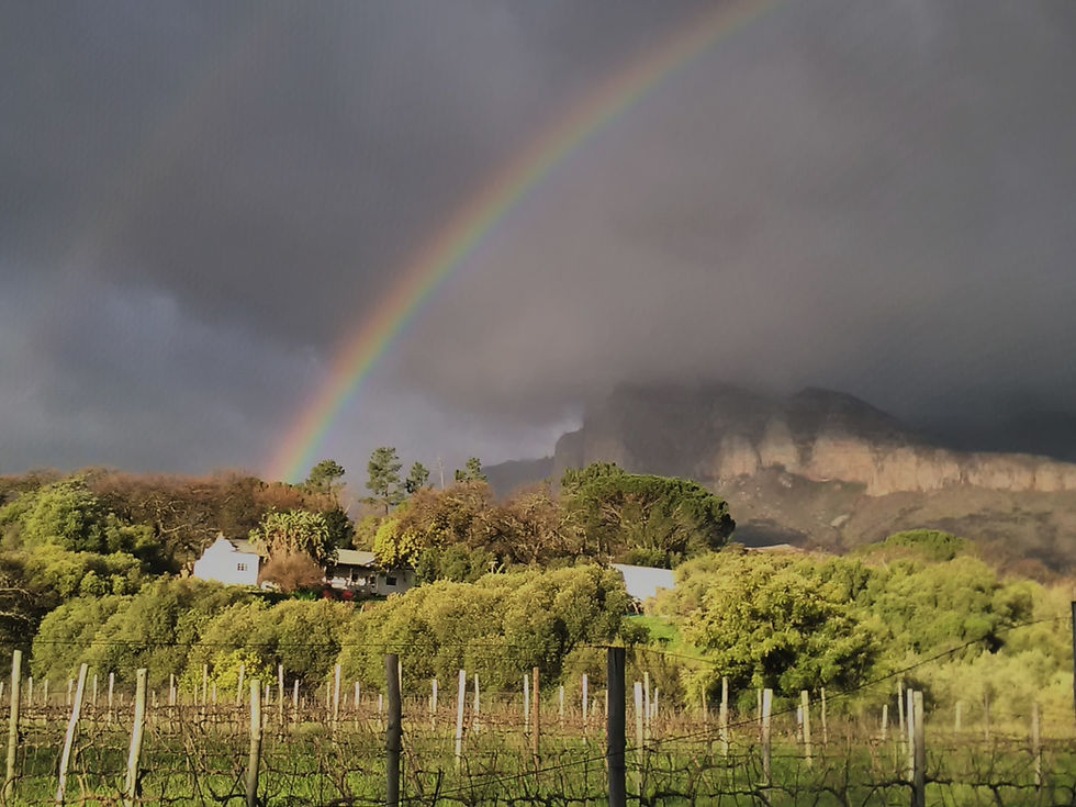 Edmund Upland Rainbow.jpg