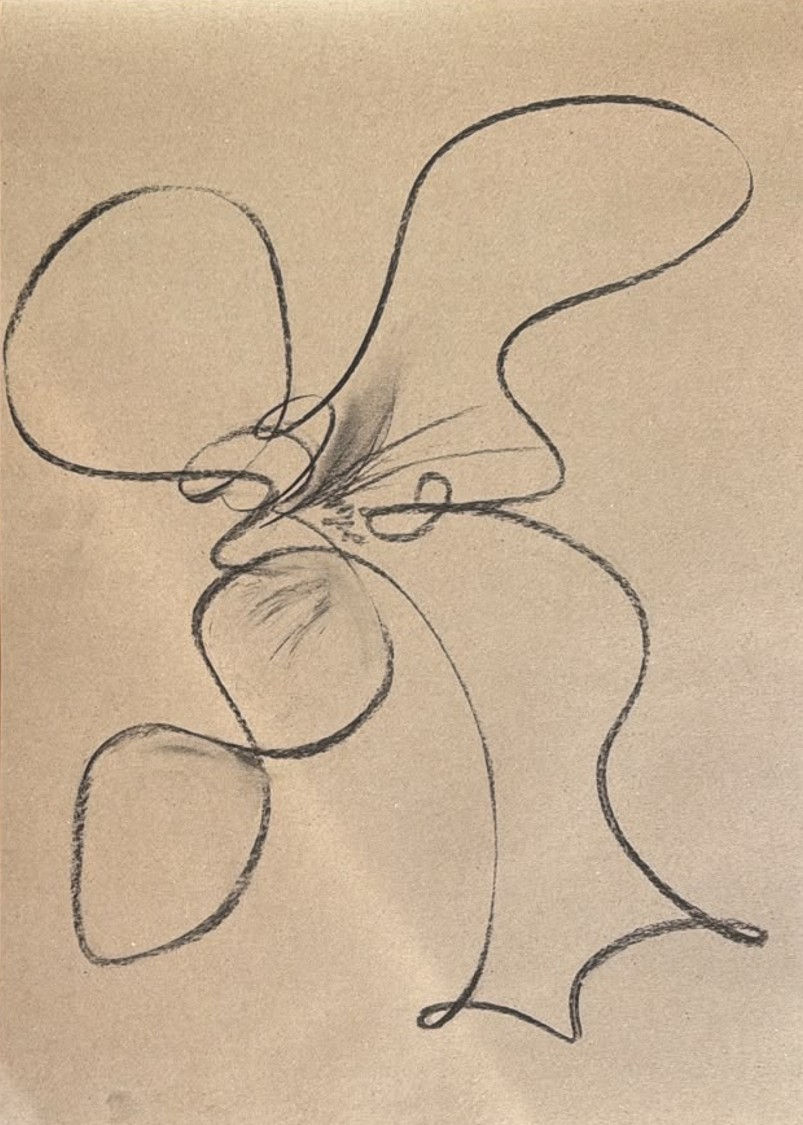 Ceilidh's Flower Sketch.jpg