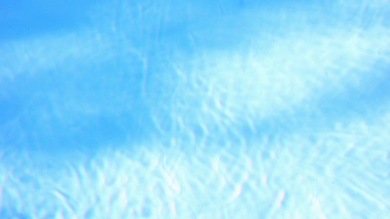 MVI_9177_1.gif