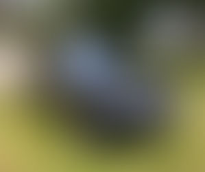 BIGGER - BETTER - STRONGER