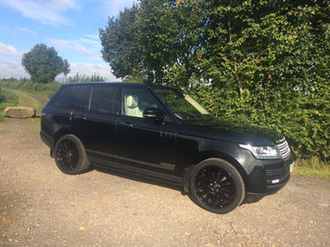 Better than a Royal Engagement!