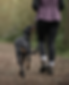 Nova (11)_edited_edited.png