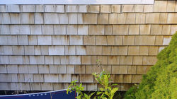 Professional cedar restoration