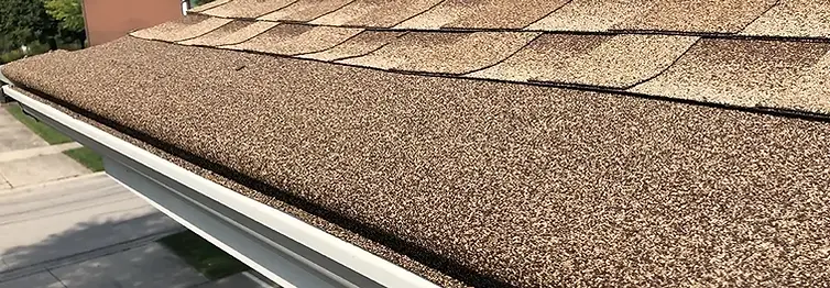 gutter cap covering the gutter
