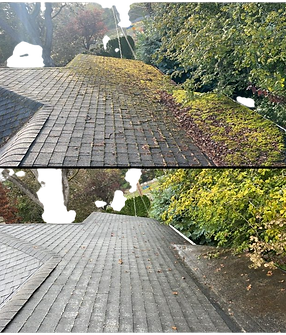 roof cleaning_edited.png