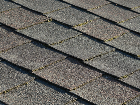 Shingle Rejuvenation Benefits with Shinglesavers Dartmouth: Roof Rejuvenation Experts
