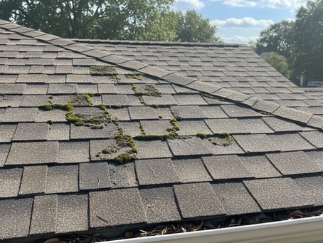 The Cost Benefits of Roof Rejuvenation: Save Smart on Your Roof
