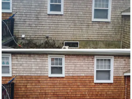 How to Clean Cedar Shingles Without Damage