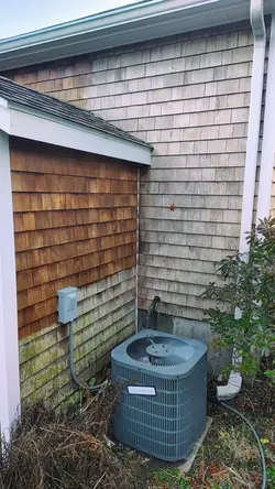 Professional cedar siding restoration