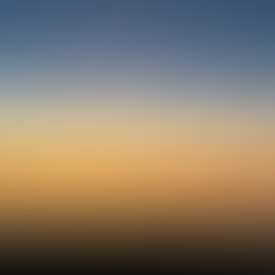 Winter Games Surf Competition in Tofino