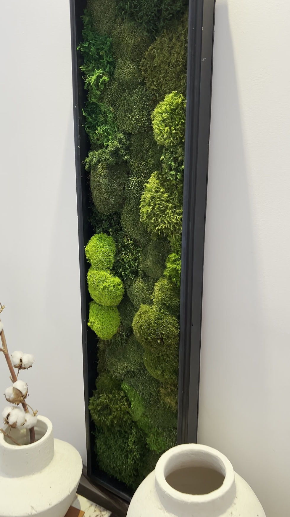 תמונה ממוזערת: פאנל אזוב יער