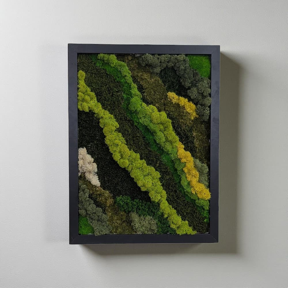 אזוב ונורות