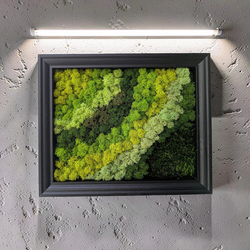 תמונה ממוזערת: אזוב ירוק