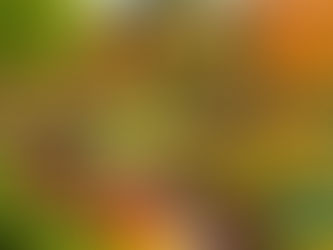 Planning Your Fall Garden: What to Plant Now for a Vibrant Autumn