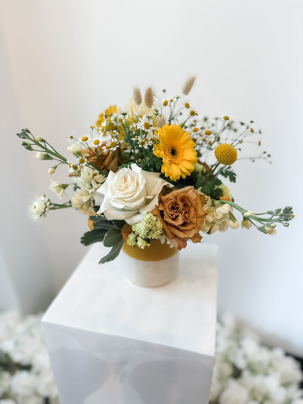 Public Event - Sunny Days Workshop at Booch Haus Plant & Gift Lounge