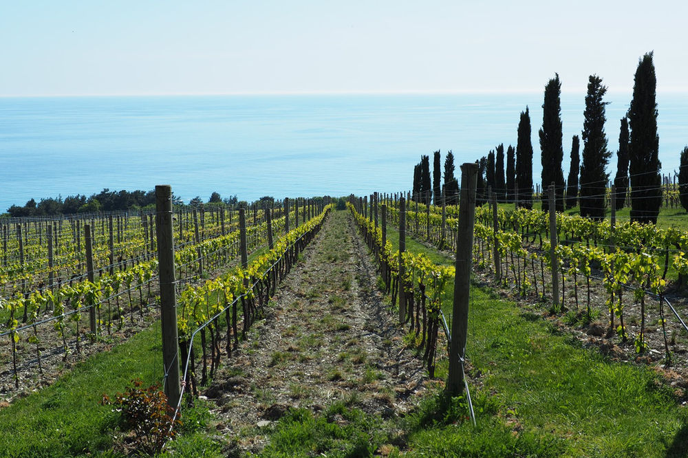 Винодельня Усадьба Дивноморское. Взгляд изнутри!