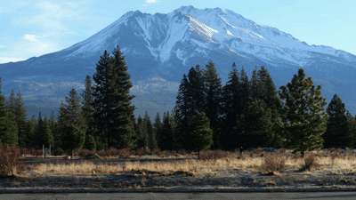 Website Home Page.gif