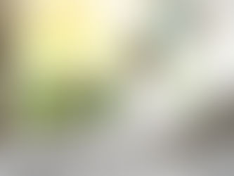 Nếu bạn thức dậy vào lúc 5h sáng ?