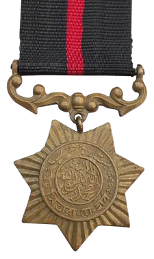 MEDAL WEB WAR STAR 1965-Enhanced_Rev (3).png