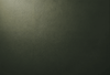 TexturaCouroVerde.png