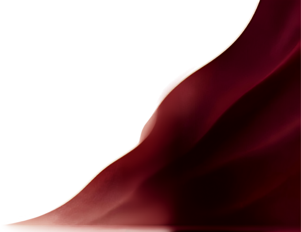 FAIXA VERMELHA 1.png