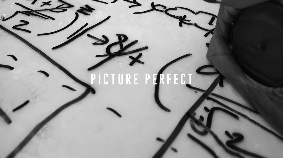 Picture Perfect