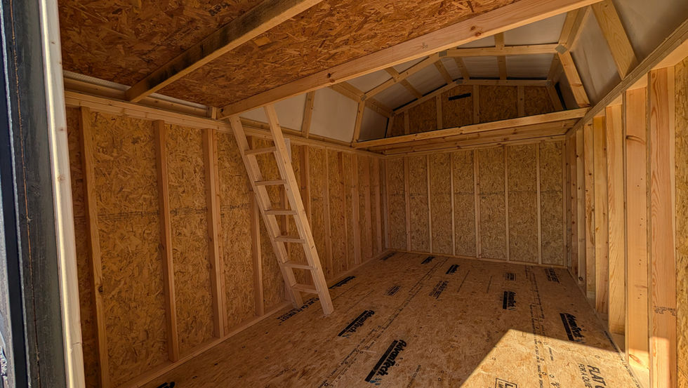 10x16 Lofted Barn with Black Wood Siding - Interior with 16" On Center Wall Framing