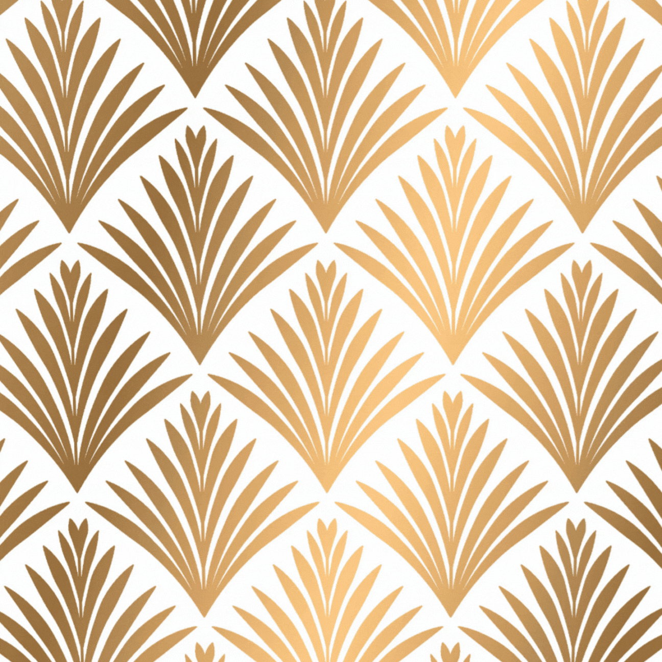 Backdrop Gif.gif