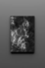 Thumbnail: Sight.West.