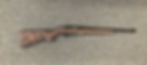 Ruger 10/22