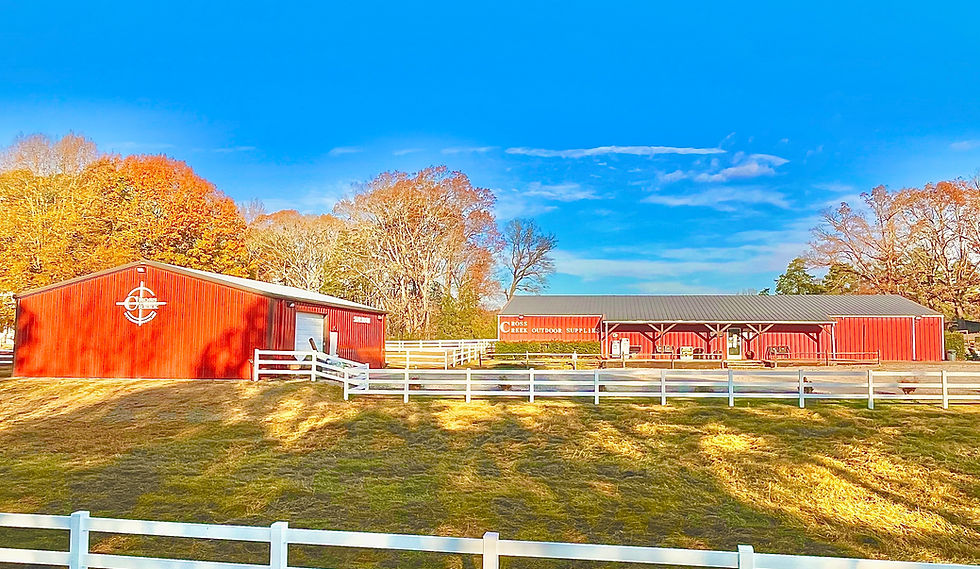 FullSizeRender (6).jpeg