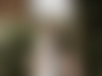 Wedding at Arley Hall & Gardens