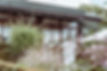 LR_D780892.jpg