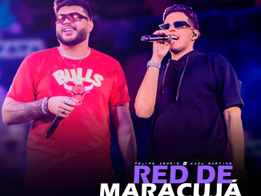 DOWNLOAD | Felipe Amorim e Kadu Martins - Red de Maracujá (Ailton Produções Remix)