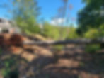 20241002_145455.jpg