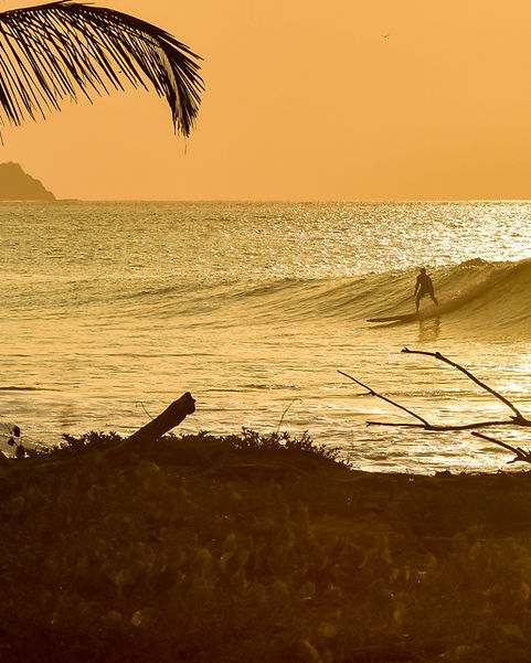 Sansara.Surf-2.jpg