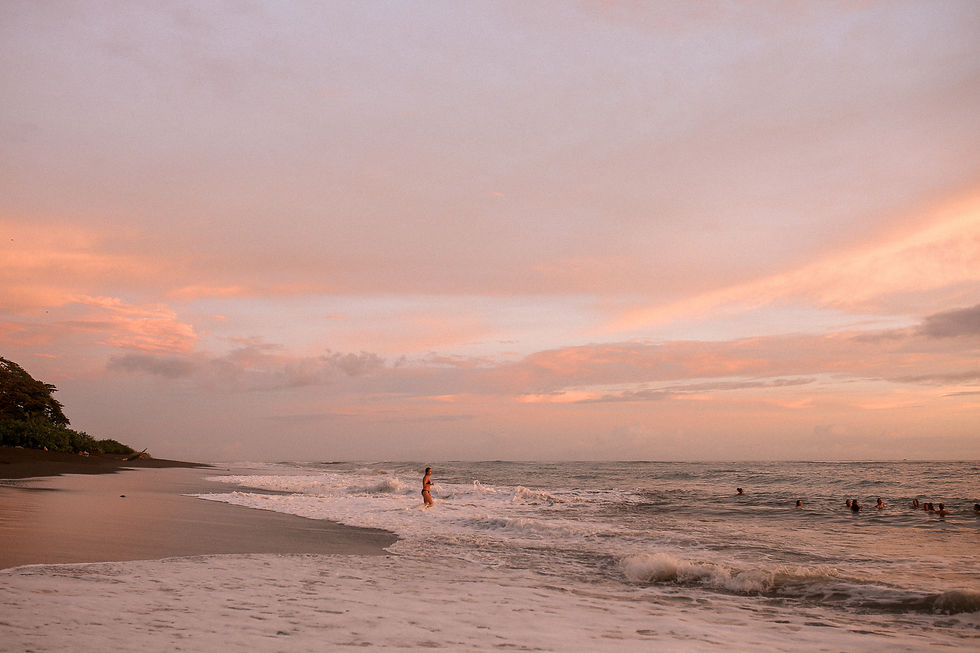 THE PLACES WE COME ALIVE