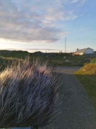 IMG_20220426_201244.jpg