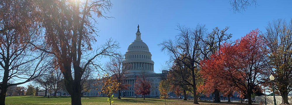 Capitol building with blue sky, trees, and sunny day in Capitol Hill, Washington, DC.