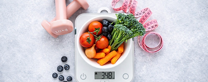 減量スケジュール